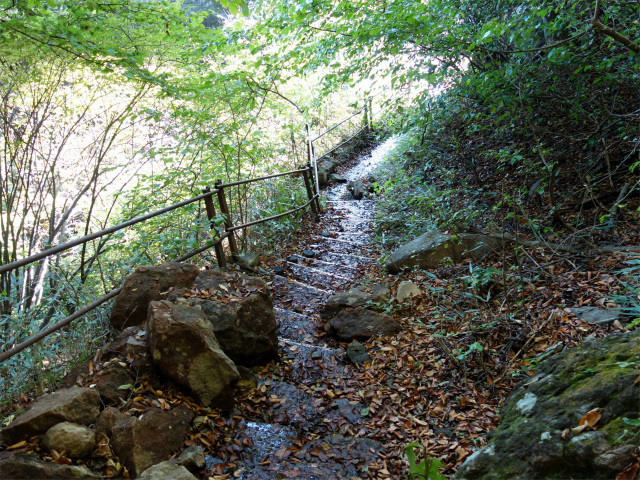 表妙義・金洞山（中ノ岳～鷹戻し～相馬岳） 登山口コースガイド【登山口ナビ】