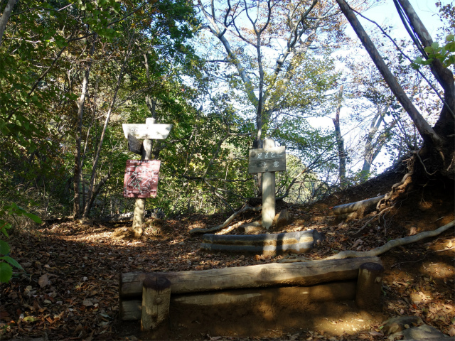 表妙義・金洞山（中ノ岳～鷹戻し～相馬岳） 登山口コースガイド 稜線コース分岐 見晴台分岐【登山口ナビ】