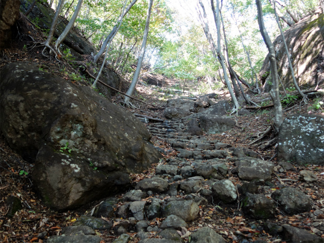 表妙義・金洞山（中ノ岳～鷹戻し～相馬岳） 登山口コースガイド 稜線コース分岐 石段【登山口ナビ】