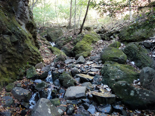 表妙義・金洞山（中ノ岳～鷹戻し～相馬岳） 登山口コースガイド 稜線コース分岐 沢筋【登山口ナビ】