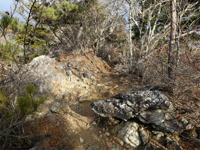 御坂黒岳(新御坂トンネル河口湖口) 露岩【登山口コースガイド】