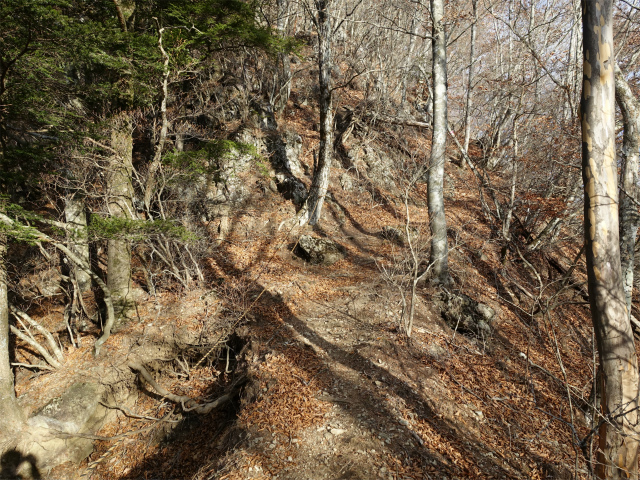 御坂黒岳(新御坂トンネル河口湖口) 露岩【登山口コースガイド】