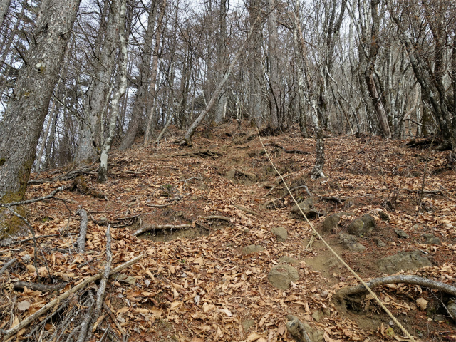 御坂黒岳(新御坂トンネル河口湖口) 急登【登山口コースガイド】