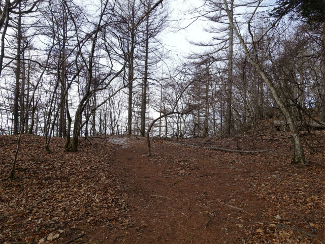 御坂黒岳(新御坂トンネル河口湖口) 尾根の肩の平場【登山口コースガイド】