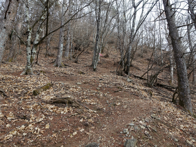 御坂黒岳(新御坂トンネル河口湖口)【登山口コースガイド】