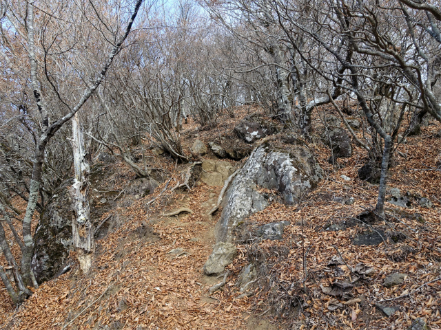 御坂黒岳(新御坂トンネル河口湖口)岩場の展望台直下の登り 【登山口コースガイド】