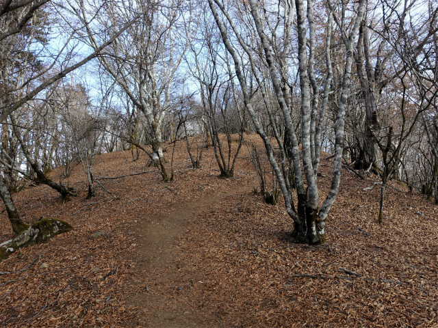 御坂黒岳(新御坂トンネル河口湖口)登山口コースガイド 黒岳山頂直下【登山口ナビ】