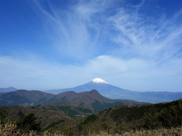 富士山が良く見える山 登山口コースガイド 明神ヶ岳山頂【登山口ナビ】