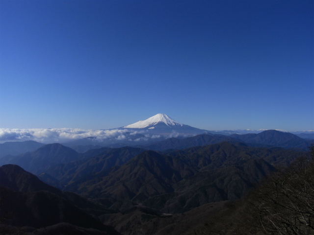 富士山が良く見える山 登山口コースガイド 檜洞丸北西斜面【登山口ナビ】