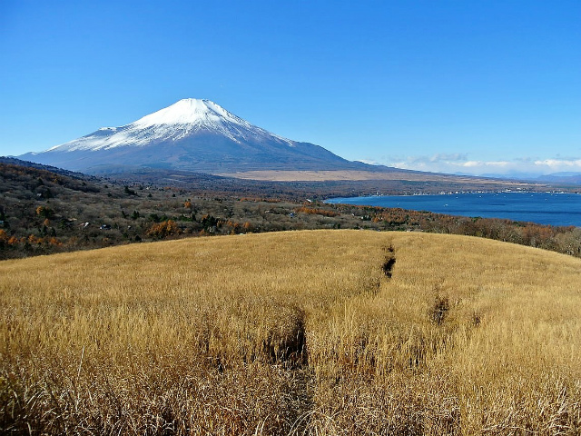 富士山が良く見える山 登山口コースガイド 鉄砲木ノ頭山頂【登山口ナビ】