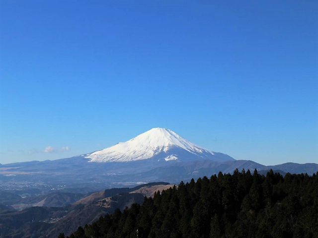 富士山が良く見える山 登山口コースガイド 高松山山頂【登山口ナビ】
