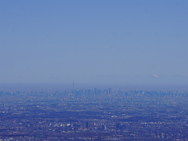 大山(ヤビツ峠~イタツミ尾根)山頂広場からの都心の眺望【登山口コースガイド】
