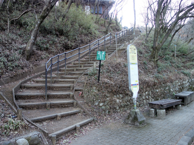 大山（ヤビツ峠～イタツミ尾根）バス停【登山口コースガイド】