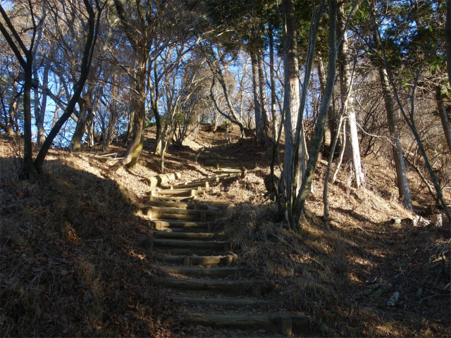 大山（ヤビツ峠～イタツミ尾根）【登山口コースガイド】