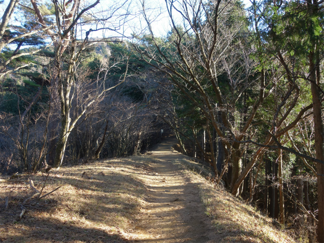 大山（ヤビツ峠～イタツミ尾根）なだらかな尾根の肩【登山口コースガイド】
