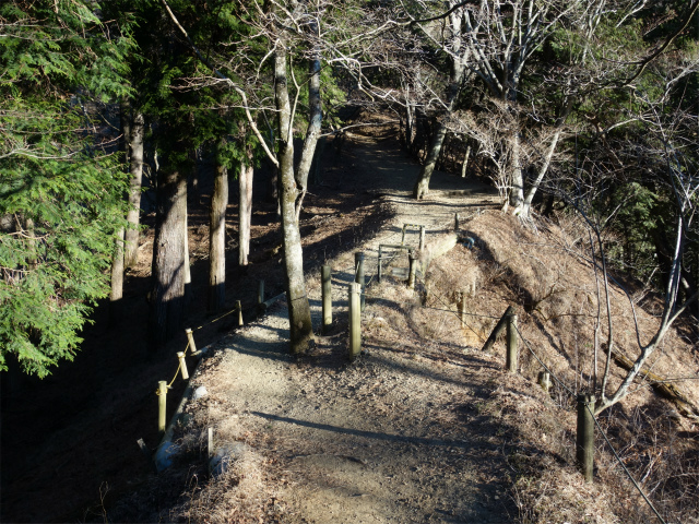 大山（ヤビツ峠～イタツミ尾根）痩せた鞍部【登山口コースガイド】