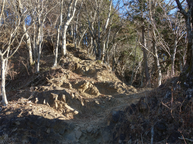 大山（ヤビツ峠～イタツミ尾根）急登【登山口コースガイド】
