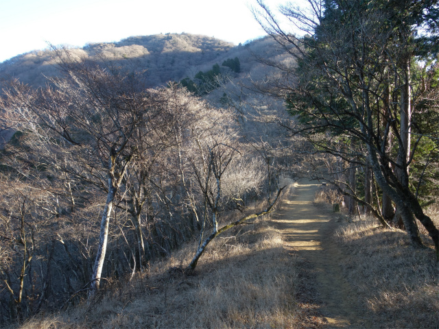 大山（ヤビツ峠～イタツミ尾根）尾根の肩【登山口コースガイド】