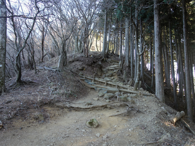 大山（ヤビツ峠～イタツミ尾根）階段【登山口コースガイド】
