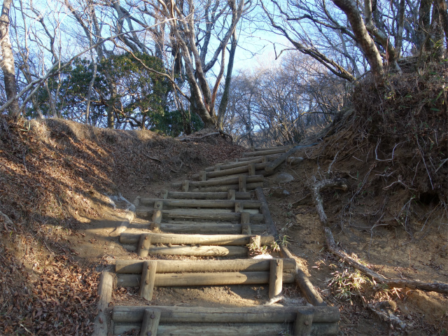 大山（ヤビツ峠～イタツミ尾根）階段【登山口コースガイド】