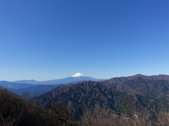 大山(不動尻~唐沢峠)登山口コースガイド 富士見台からの丹沢表尾根の眺望【登山口ナビ】