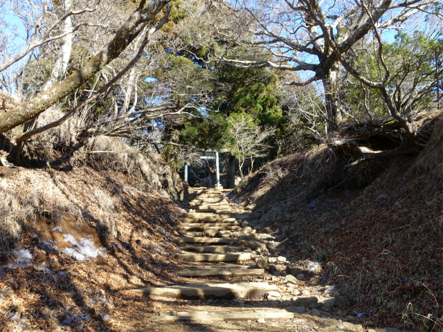 大山（ヤビツ峠～イタツミ尾根）阿夫利神社鳥居【登山口コースガイド】
