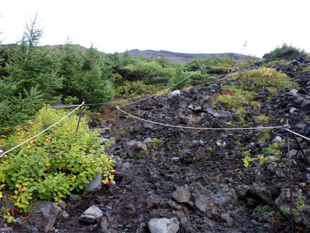富士山 剣ヶ峰~お鉢巡り(富士宮ルート/無雪期日帰り)登山口コースガイド 六合目【登山口ナビ】