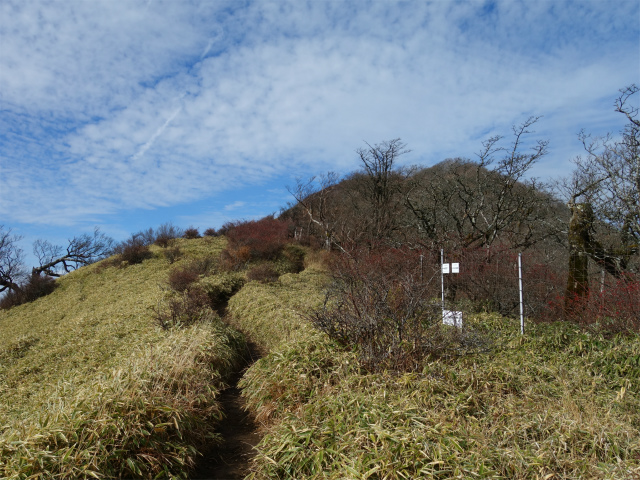 蛭ヶ岳(白馬尾根~鬼ヶ岩)コースガイド 鞍部【登山口ナビ】