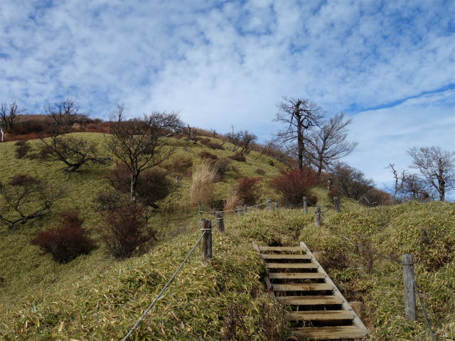 蛭ヶ岳(白馬尾根~鬼ヶ岩)コースガイド 階段【登山口ナビ】