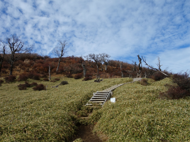 蛭ヶ岳(白馬尾根~鬼ヶ岩)コースガイド 山頂直下【登山口ナビ】