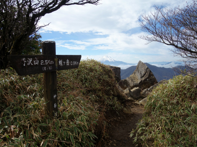 蛭ヶ岳(白馬尾根~鬼ヶ岩)コースガイド 鬼ヶ岩からの富士山【登山口ナビ】