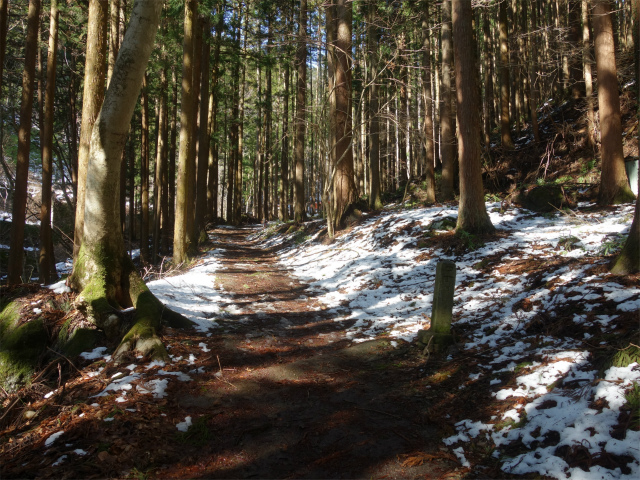 武甲山（表参道コース） 登山口コースガイド 四丁目【登山口ナビ】