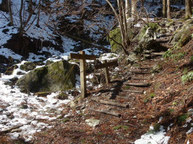 武甲山（表参道コース） 登山口コースガイド 登山道分岐【登山口ナビ】