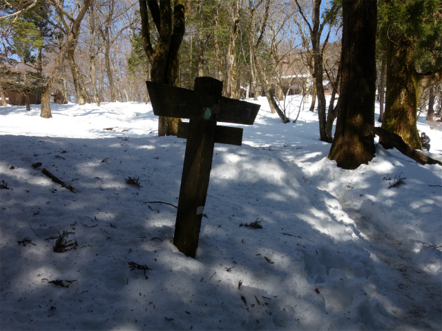 武甲山（表参道コース） 登山口コースガイド 山頂分岐【登山口ナビ】
