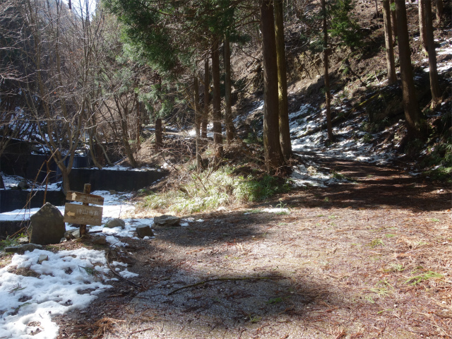 武甲山（表参道コース） 登山口コースガイド シラジクボ分岐【登山口ナビ】
