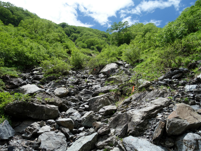 北岳（左俣コース）登山口コースガイド 大樺沢源頭【登山口ナビ】