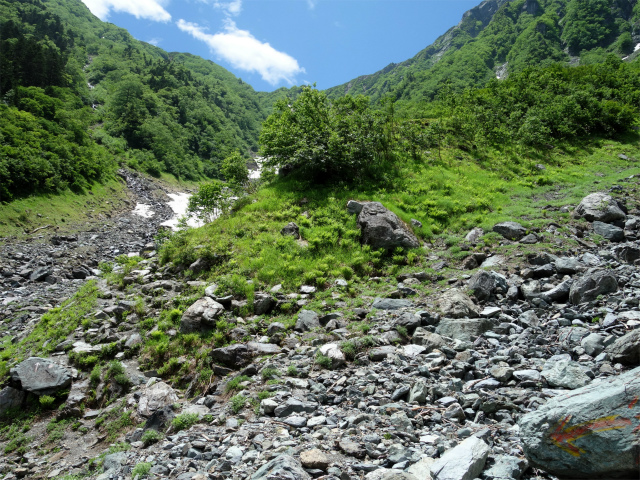北岳（左俣コース）登山口コースガイド 大樺沢二俣【登山口ナビ】