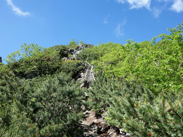 北岳（左俣コース）登山口コースガイド 階段【登山口ナビ】