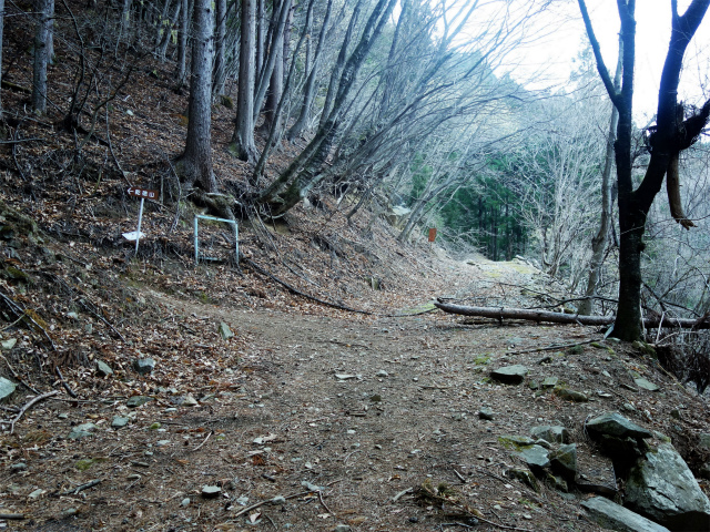 乾徳山（銀晶水・徳和コース）登山口コースガイド 林道横断【登山口ナビ】