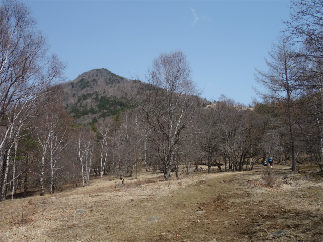 乾徳山（銀晶水・徳和コース）登山口コースガイド 国師ヶ原からの乾徳山【登山口ナビ】