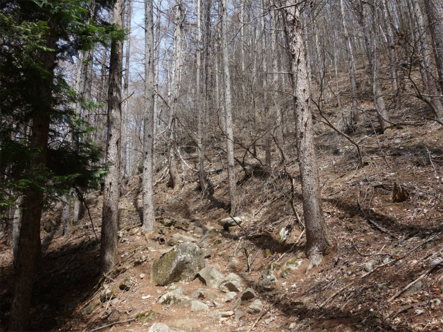 乾徳山（銀晶水・徳和コース）登山口コースガイド 急登【登山口ナビ】