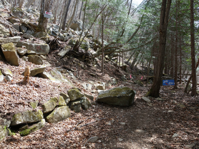乾徳山（銀晶水・徳和コース）登山口コースガイド 岩の転がる斜面【登山口ナビ】