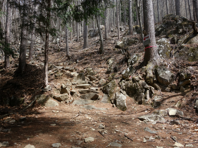 乾徳山（銀晶水・徳和コース）登山口コースガイド 廃林道【登山口ナビ】