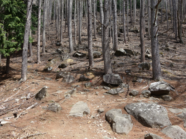 乾徳山（銀晶水・徳和コース）登山口コースガイド 駒止【登山口ナビ】