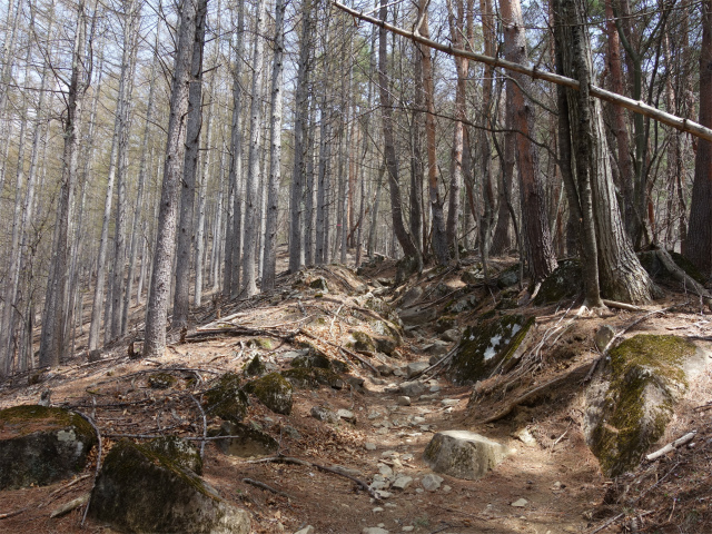 乾徳山（銀晶水・徳和コース）登山口コースガイド【登山口ナビ】