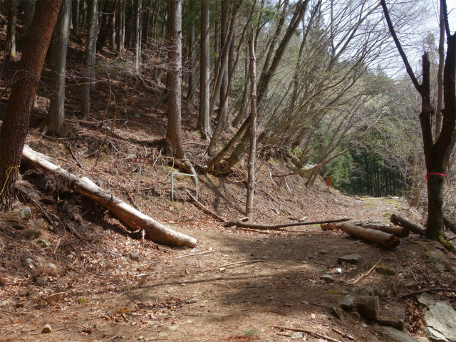 乾徳山（銀晶水・徳和コース）登山口コースガイド 林道横断【登山口ナビ】
