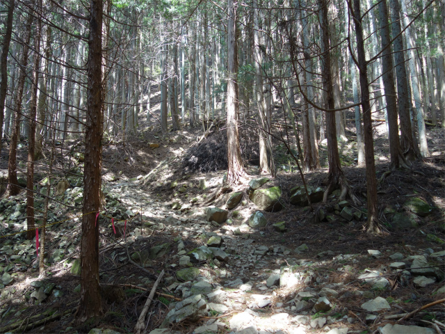 乾徳山（銀晶水・徳和コース）登山口コースガイド 植林帯【登山口ナビ】