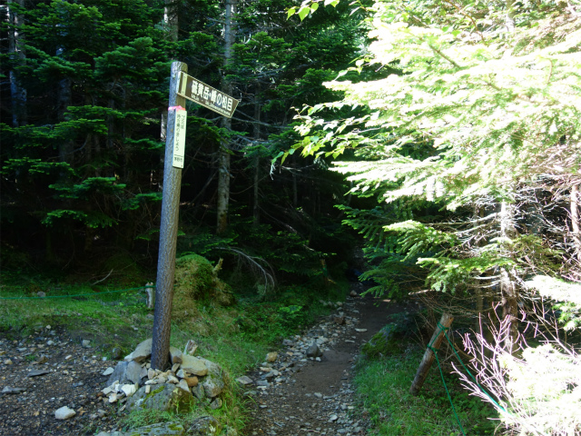 八ヶ岳・横岳（桜平～硫黄岳～奥ノ院） 登山口コースガイド オーレン小屋テント幕営地【登山口ナビ】