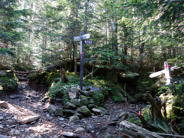 八ヶ岳・横岳（桜平～硫黄岳～奥ノ院） 登山口コースガイド 峰の松目分岐【登山口ナビ】