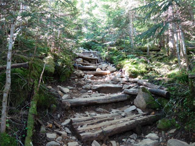 八ヶ岳・横岳（桜平～硫黄岳～奥ノ院） 登山口コースガイド 階段【登山口ナビ】